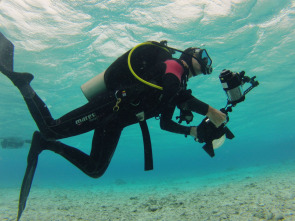 Imagen de Guerreros de los océanos - 10