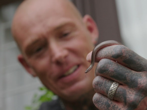 Imagen de Serpientes en la ciudad: Mamba asesina - 3