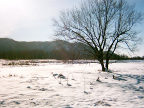 Imagen de Especial Mississippi salvaje - 3