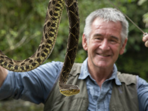 Wild Centroamérica 