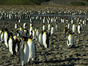 Imagen de Islas gélidas  - 3