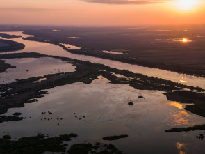 Europa: naturaleza...: El Amazonas europeo