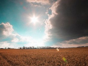 Imagen de El increíble doctor Pol: Aquí llega la cobaya - 3
