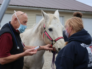Imagen de El increíble doctor Pol: Juego de huesos - 3