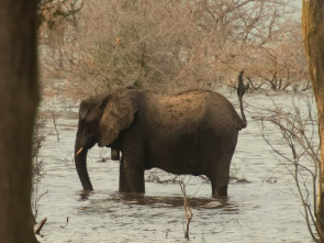 Lago Tanganica: el corazón de Africa