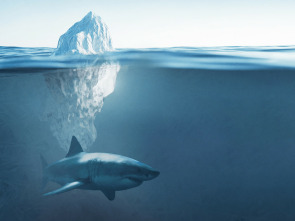 Imagen de Tiburones bajo cero - 3