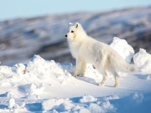 Imagen de La increíble migración...: Persiguiendo las lluvias africanas - 2