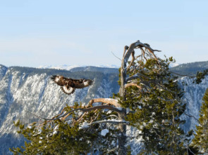 Imagen de Lugares salvajes de Europa  - 2