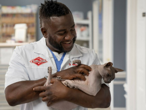 Imagen de Critter Fixers: Veterinarios rurales: Felinos felices - 1