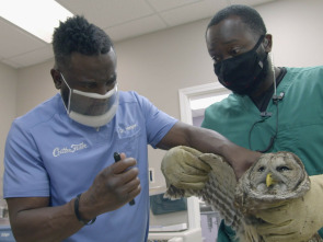 Imagen de Especial Critter...: Rescate salvaje - 1