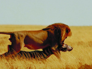 Imagen de Planeta carnívoro  - 2