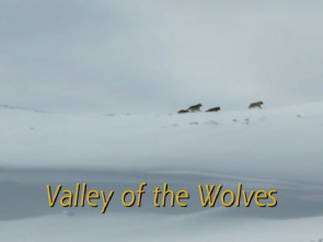 El valle de los lobos