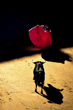 Imagen de San Fermín en... (T2025): Chupinazo de San Fermín - 2