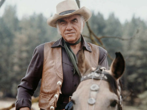 Imagen de Bonanza - 1