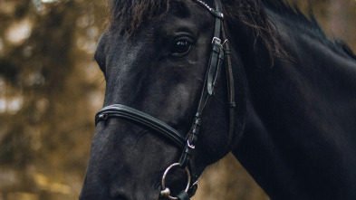 Imagen de Ride FEI Originals (2) - 3