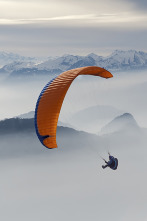 Imagen de World Downhill... (2026): Open Skate - 2