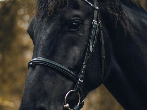 Imagen de Ride FEI Originals (2) - 1