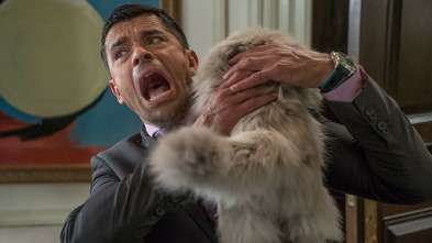 Imagen de Siete vidas: Este gato es un peligro - 3