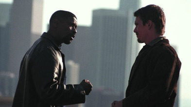 Imagen de Training Day - 3