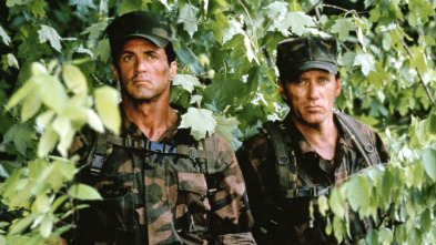 Imagen de El especialista - 3
