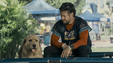 Imagen de Arthur - 3