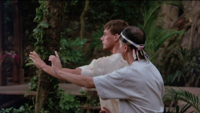 Imagen de Kickboxer - 3