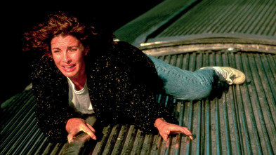 Imagen de Testigo accidental - 3