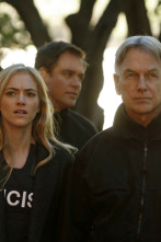 Imagen de Navy:... (T11): Ep.15 A prueba de balas - 2