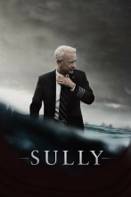 Imagen de Sully - 2