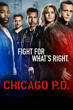 Chicago P.D. (T4): Ep.3 Viento en popa