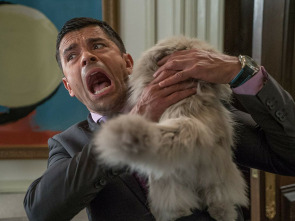 Imagen de Siete vidas: Este gato es un peligro - 1