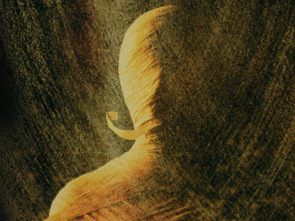 Imagen de La sombra del faraón - 1