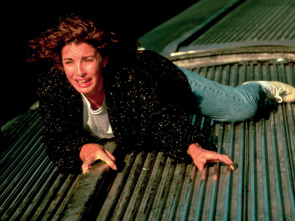 Imagen de Testigo accidental - 1