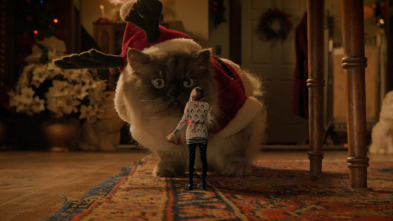 Imagen de Pequeñas Navidades - 11