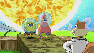 Bob Esponja ... (T11): Fotos no, por favor