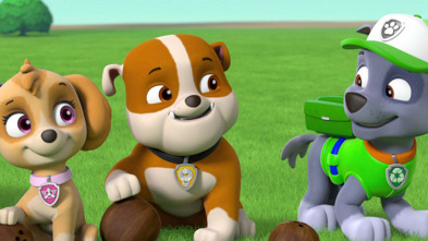 Imagen de La patrulla... (T8): La patrulla y Katie detienen a la banda de gatitos que ladran - 3