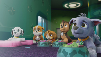 Imagen de La Patrulla... (T11): La patrulla salva el hueso fósil robado - 3