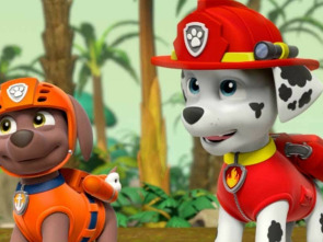 Imagen de La patrulla... (T2): La patrulla salva a una familia de elefantes - 1