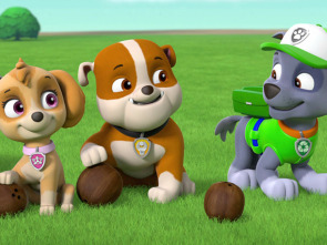 Imagen de La patrulla... (T8): La patrulla y Katie detienen a la banda de gatitos que ladran - 1