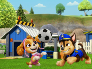 Imagen de La patrulla... (T13): La patrulla salva los limones y a un patito - 1