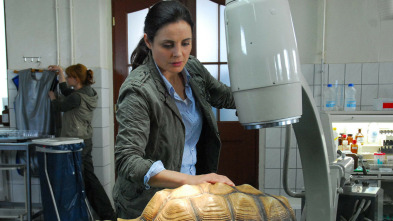 Doctora en el Zoo (T4): Ep.3 