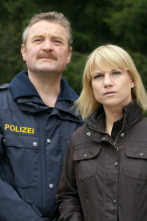 Imagen de Crimen en los Alpes (T10): Ep.5 Matar por plata - 2