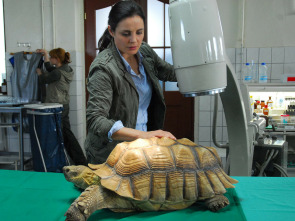 Doctora en el Zoo (T4): Ep.3 