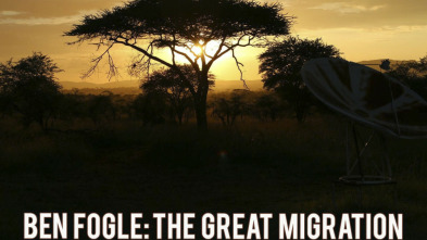 La gran migración 