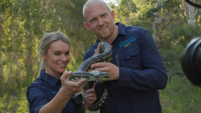 Australia: cazadores de serpientes - Demasiado juntos
