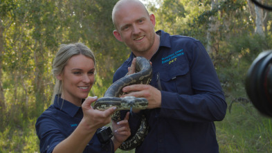 Australia: cazadores de serpientes - Una pitón en el patio