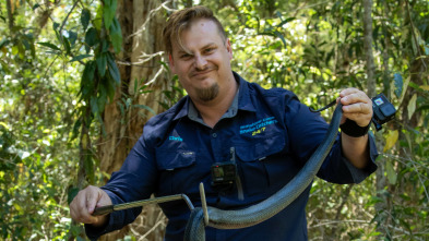 Australia: cazadores de serpientes - Enredado