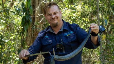 Australia: cazadores de serpientes - Cuatro por el precio de uno