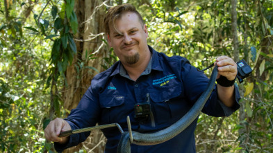 Australia: cazadores de serpientes - En la camioneta