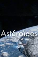 Asteroides: un nuevo El Dorado espacial